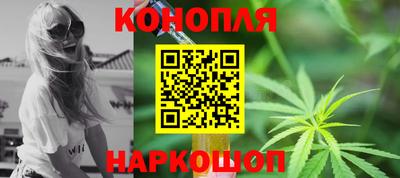 ALPHA PVP Пугачёв