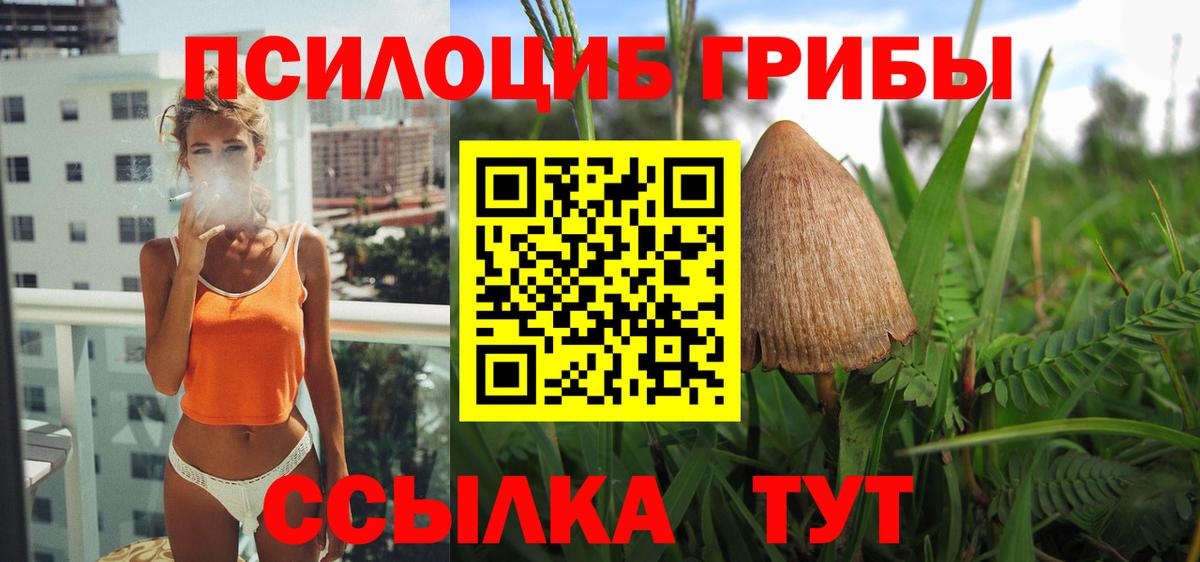 Галлюциногенные грибы мухоморы Бердск