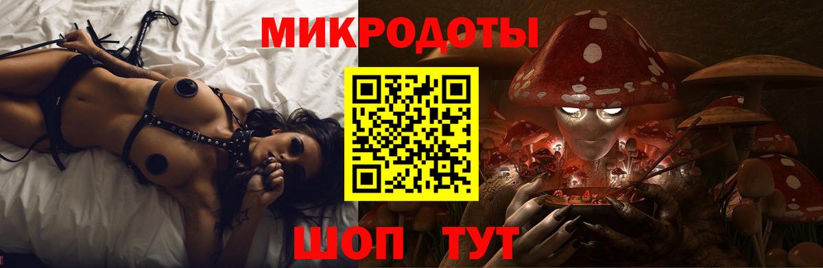 закладки  Вход с VPN  Бердск  Псилоцибиновые грибы Cubensis  Галлюциногенные грибы GOLDEN TEACHER 